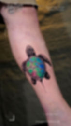 Small-Turtle-Color-Tattoo