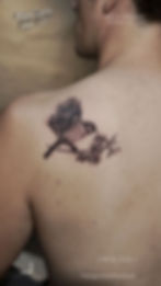 Small-Bird-Tattoo