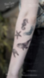 Small-Sea-Animals-Tattoo-In-bali