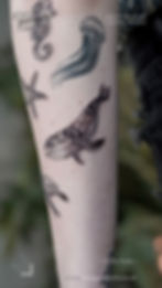 Small-Sea-Animals-Tattoo-Shop