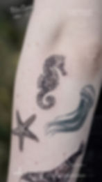 Small-Sea-Animals-Tattoo