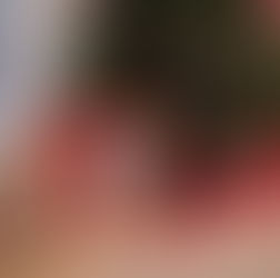 Ein Datum entscheidet, ob dein Bosch Cookit am 24.12. wirklich unterm Baum liegt.