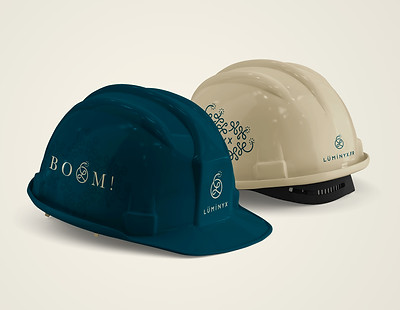 Presentation of the new Lüminyx logo and the graphic charter on communication media