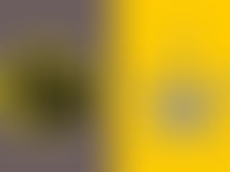 Elfsborg VS Sheriff - 01/08