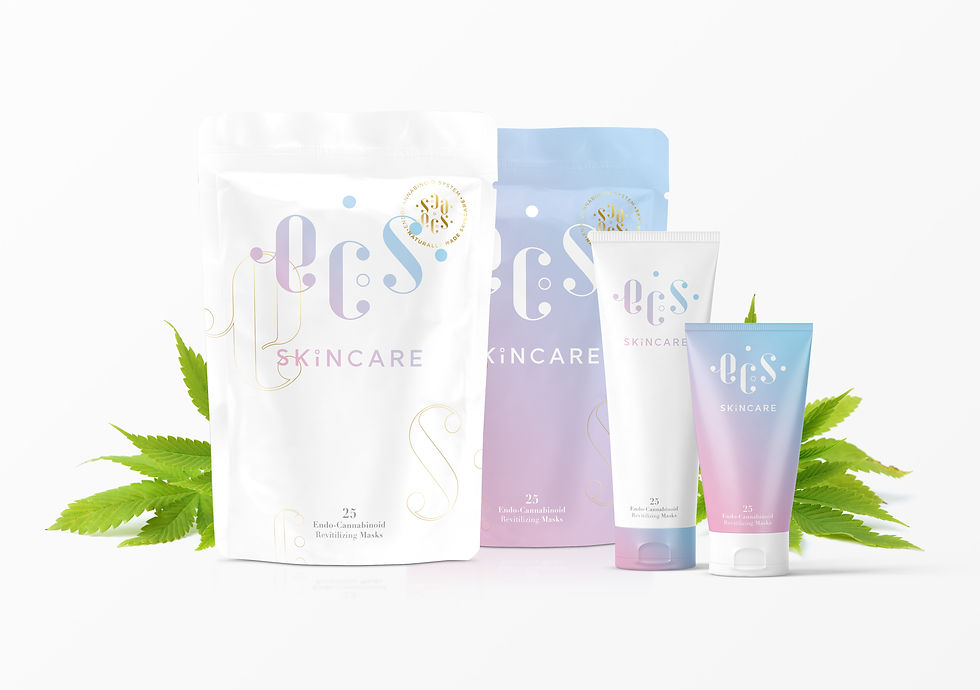 Design et réalisation de packagings avec la nouvelle identité et charte graphique de la marque