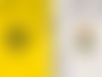 Borussia Dortmund VS Real Madrid - 01/06
