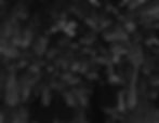 Ville à l'envers en noir et blanc, visuel publicitaire pour la promotion de l'agence