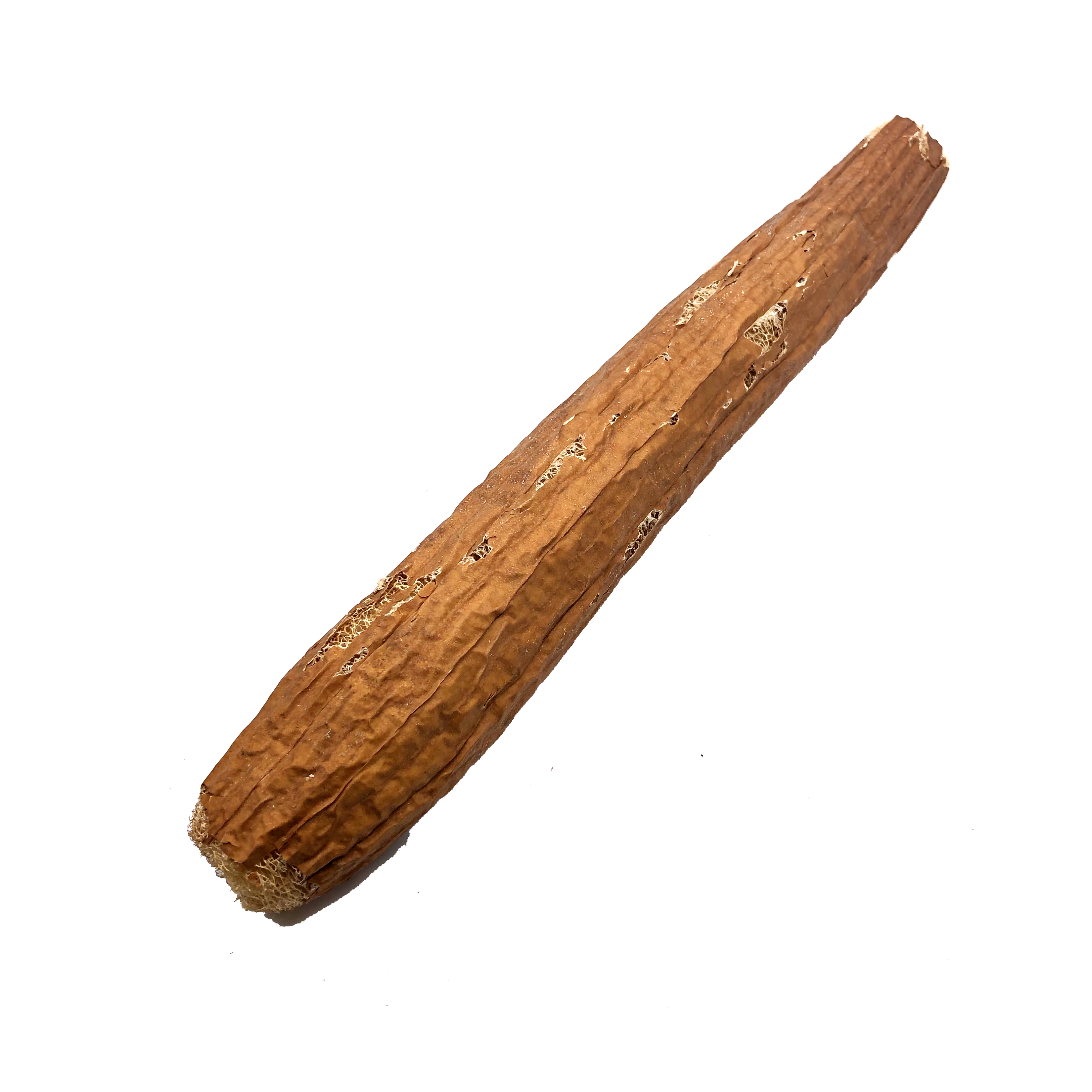 天然 絲瓜絡 (大)