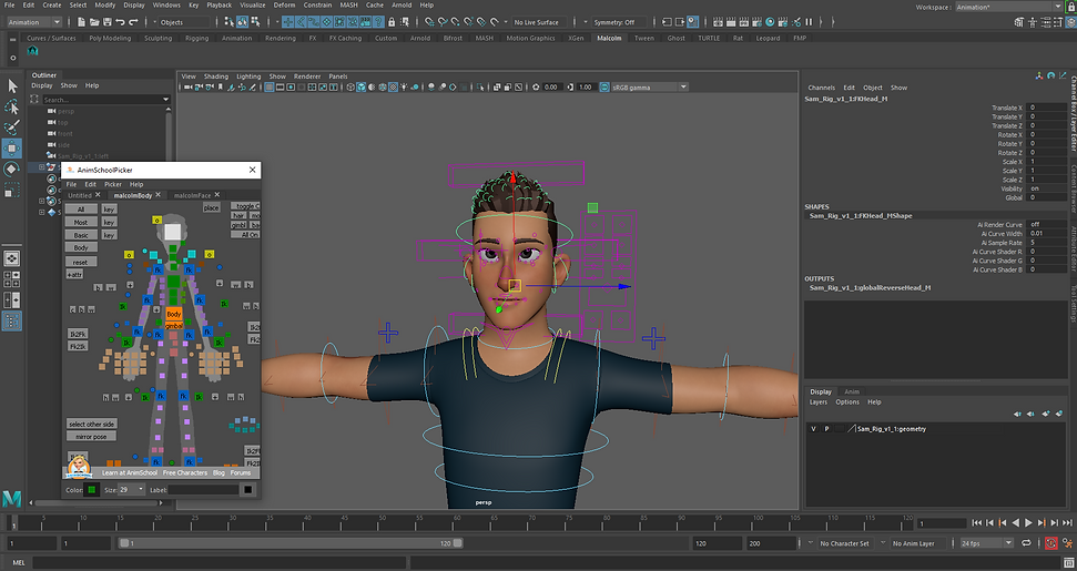 rigging to animschool picker.PNG
