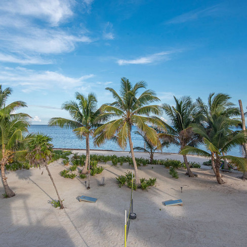 Front Yard decorated with coconut palms. Beach volleyball, corn holes, boccee. A great place to unwind.