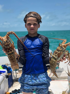 Free dive for lobster!
