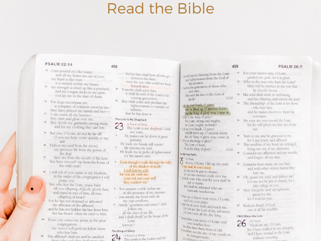 Why read the Bible? 5 Reasons to read the Bible