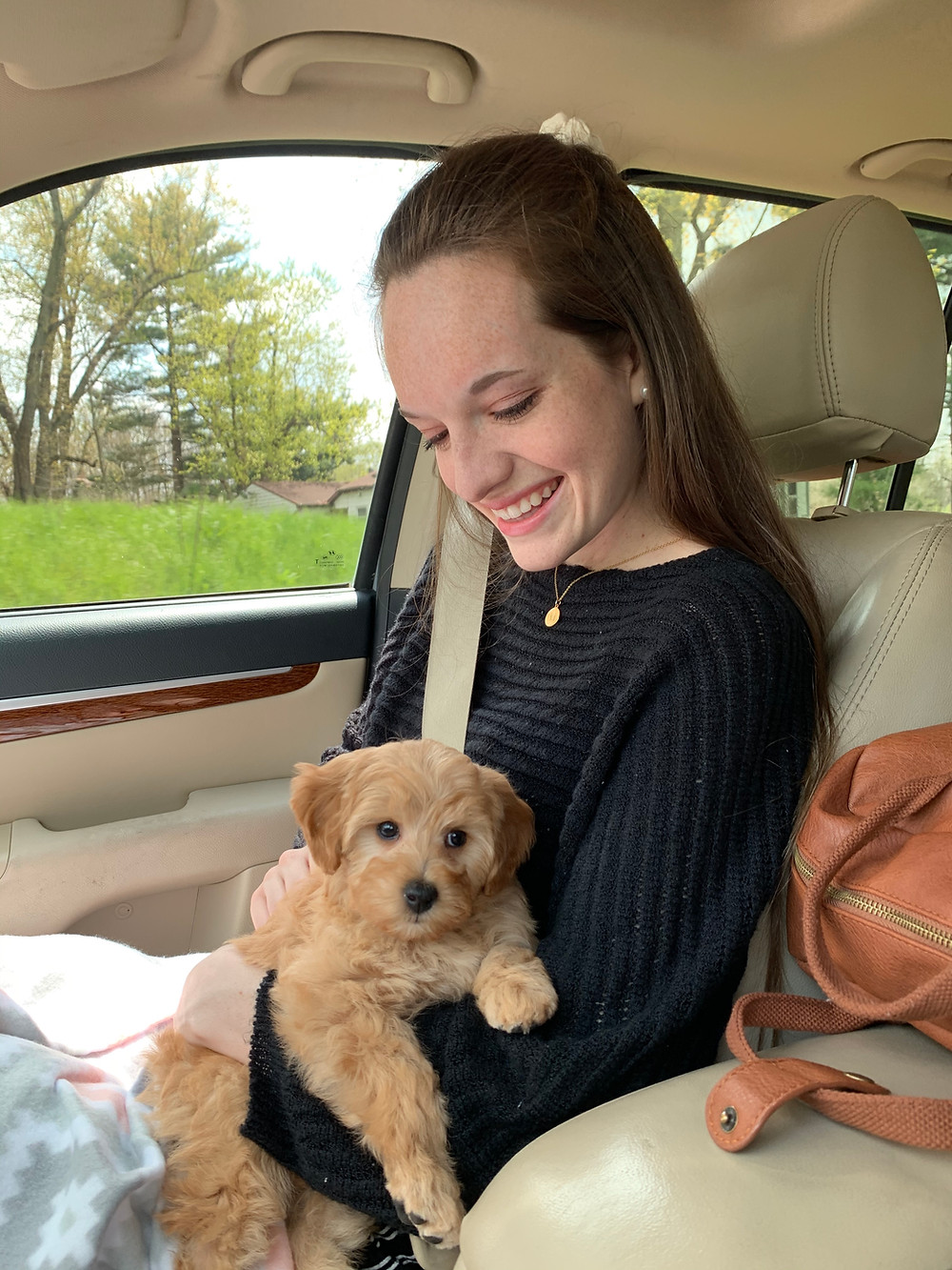 Holding our new mini golden doodle puppy as we drive home from the dog breeder in the car.