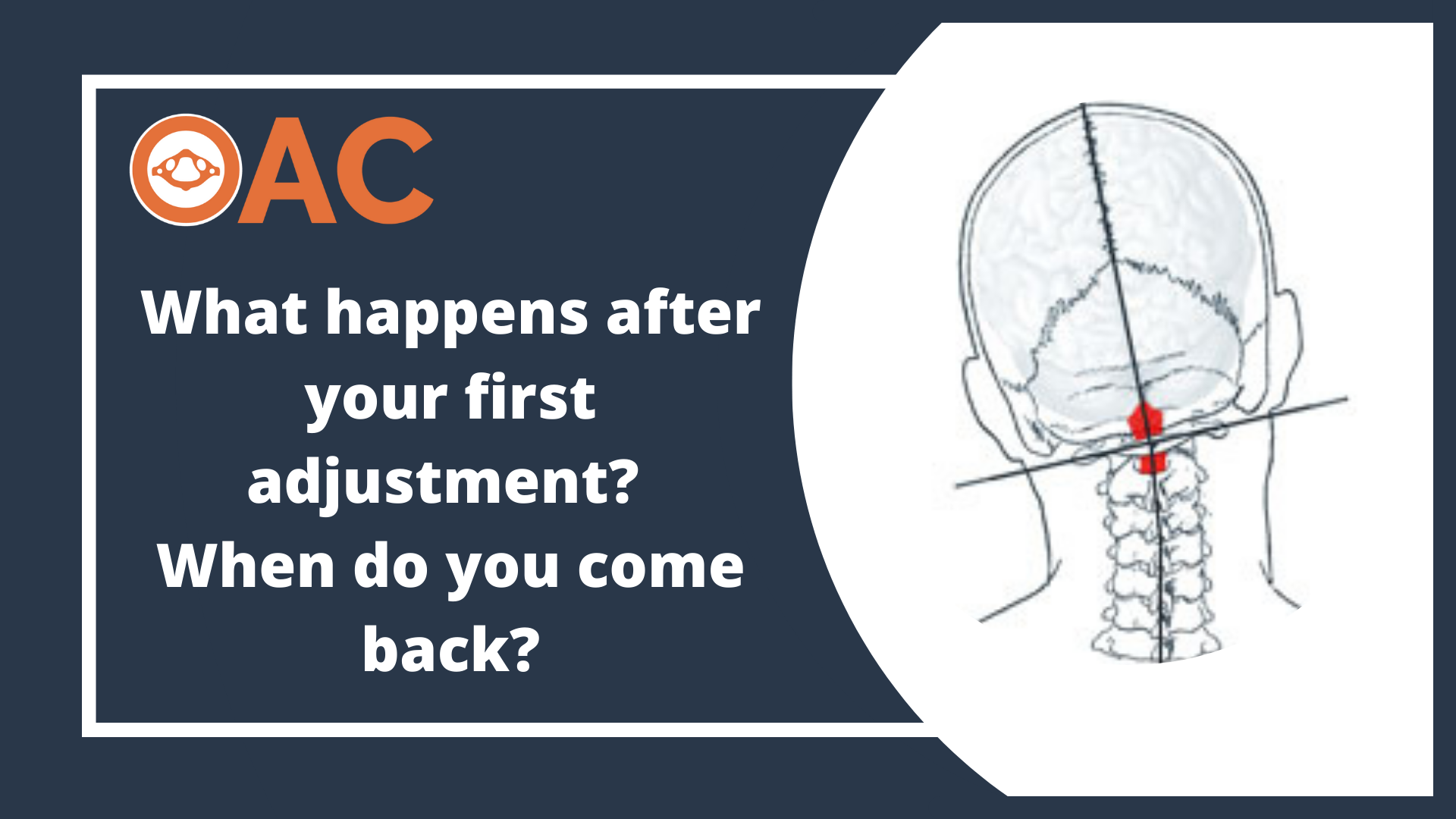 What happens after your first adjustment? When do you come back?