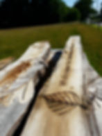 Tree Engraving, site rejuvenation