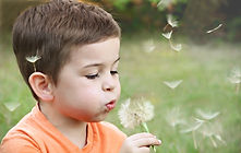 enfant souffle sur une fleur