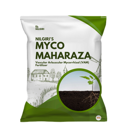 Myco Maharaza