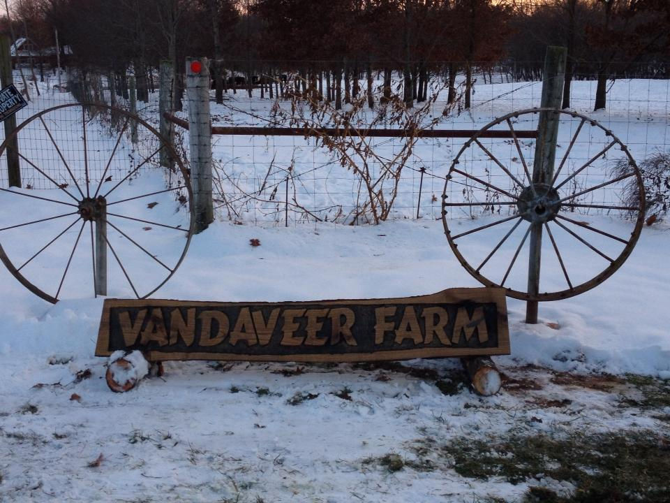 Vandaveer Log Carving.jpg