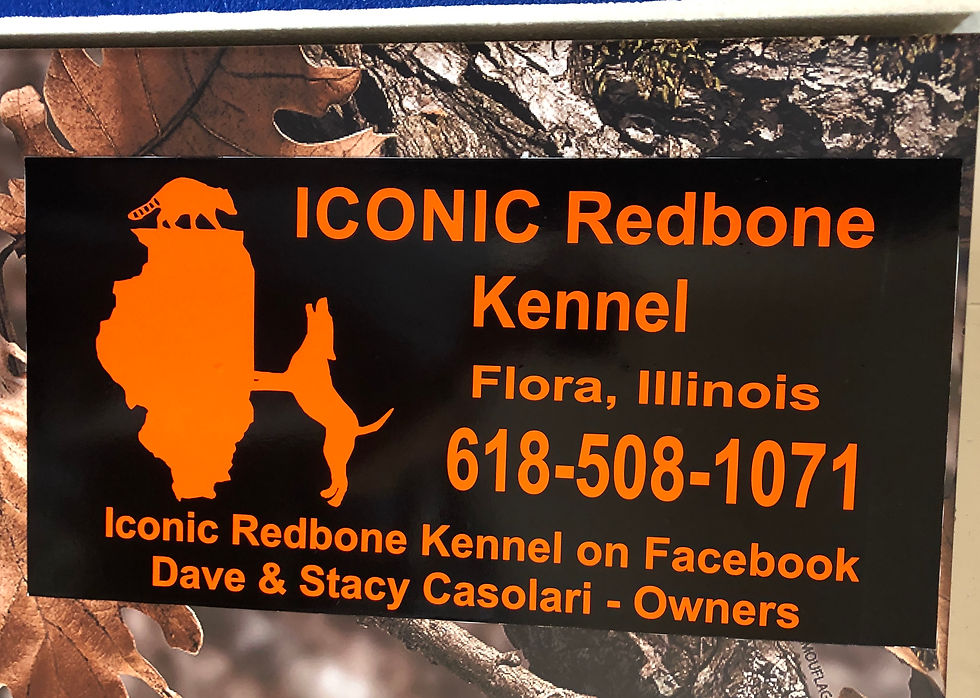 56510660398__11D9C762-D5C6-4855-A588-93F8E0E7014F