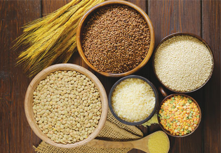 Arranged Food and Objects