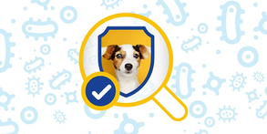 Imagem ilustrativa de um cão envolto por um escudo de proteção