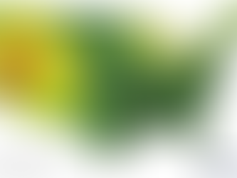 OPEN UP THE WINDOWS...