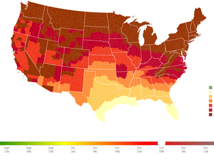 DROUGHT + FALL COLORS...