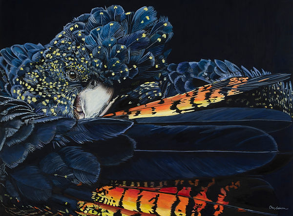 Aussie Banks 5x7.jpg