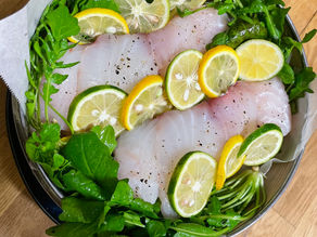 カラー of ムジャキーズ