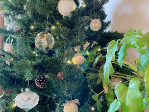 デトックスカラー