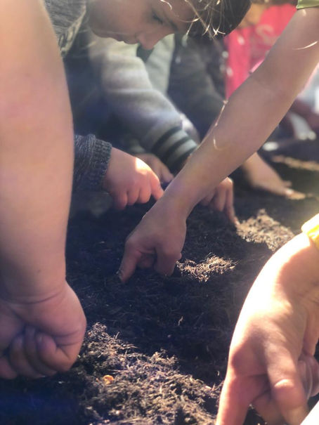 Let's plant the seeds early!