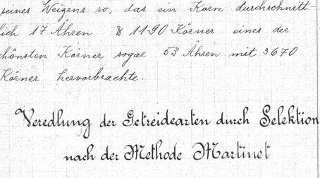 Wheat breeding - a contested practice