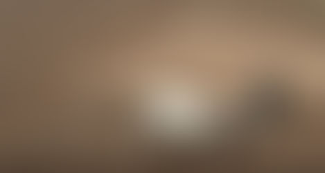 Sowing wheat in the surroundings of the Open-Air Laboratory Lauresham, Germany (#WirinLorsch)