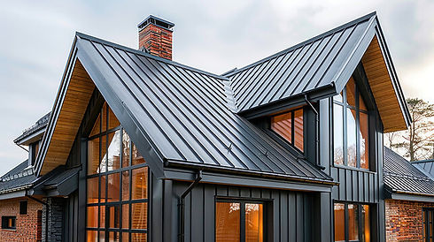 standing-seam-metal-roof-home-southwest-florida.jpg