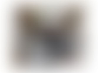 一年の計は元旦にあり◯