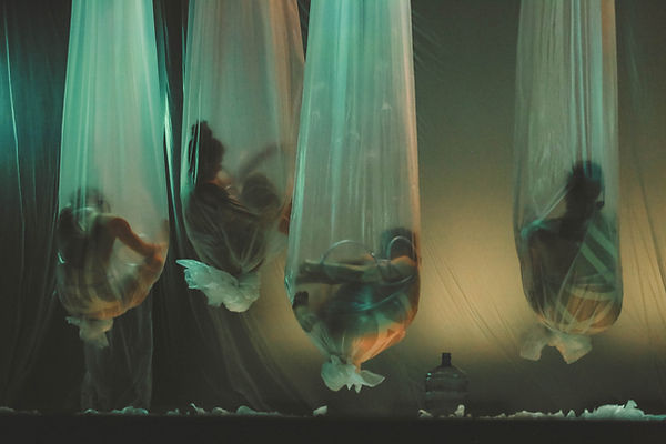 03Nina Pernat_Forest.jpg