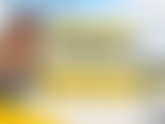 Vueling Airlines Missed Flight Policy