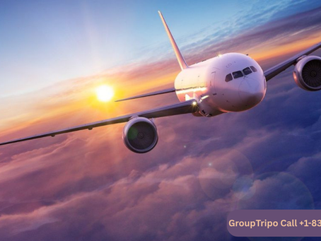 Book Etihad Airways Business Class Flight With GroupTripo