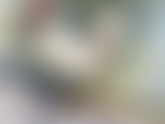 The Beauty of  Self Assurance