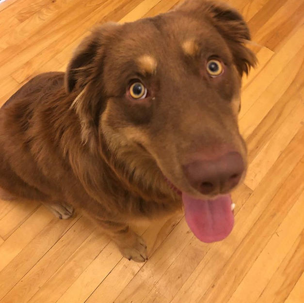 Darwin