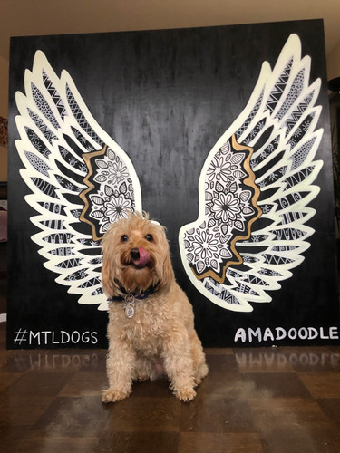 DogMural