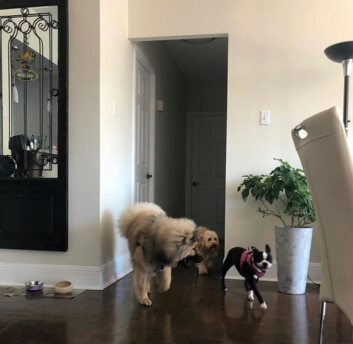 Kali, Jack, Vanilla