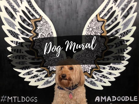 Mural interactivo de perros (verano 2020)