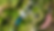 image (21).png