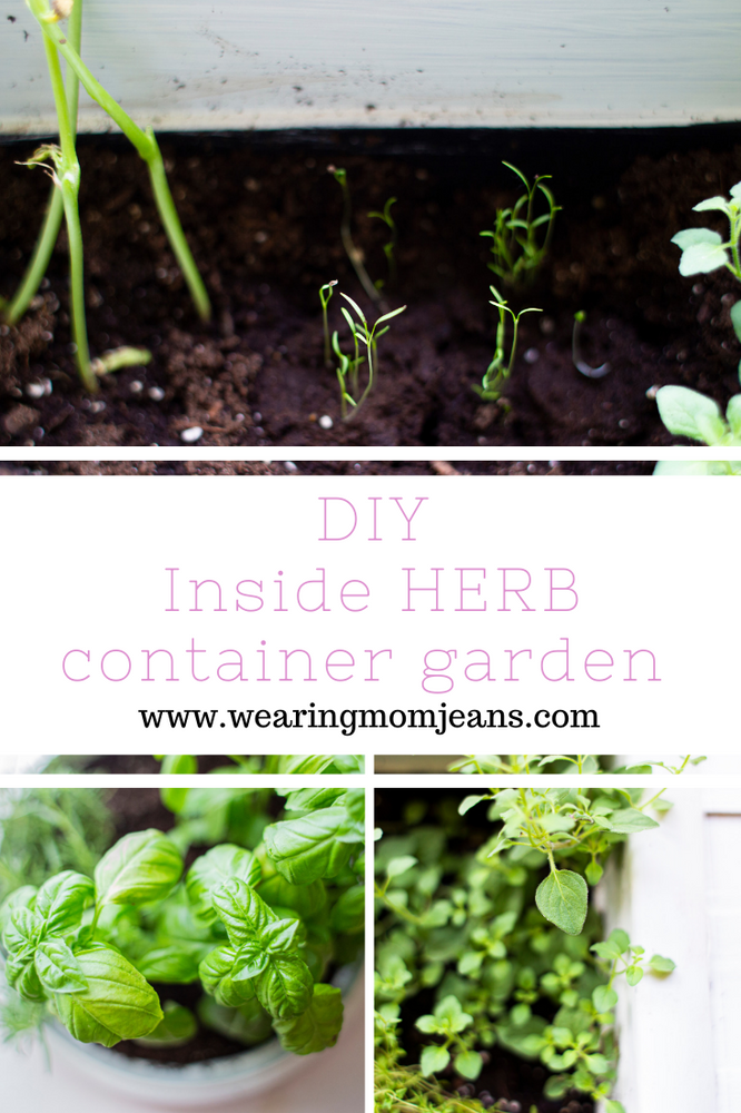 DIY Herb Container Garden For Inside