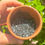 Thumbnail: Handmade Black Salt for Protection & Banishing Negativity