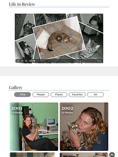 Interactive Life in Review for Merlin, featuring a collage-style video preview and photo gallery organized by year.