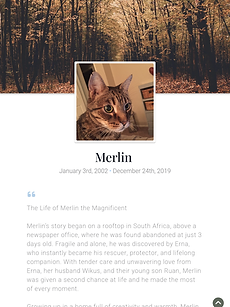 Digital tribute page for a cat named Merlin, showing a profile photo, life dates, and a personal story beneath a forest background.