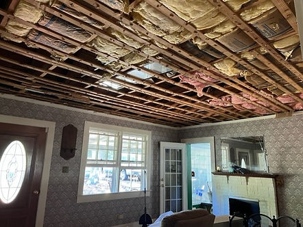 Light demolition ware shoals sc.jpg