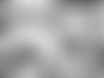 England Triumph in Opening World Cup Match